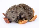 Hedgehog Asleep Garden Ornament