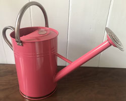 9ltr Pink Watering Can