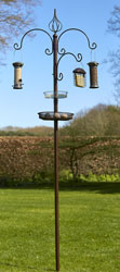 Garden Bird Feeding Station Kit Ascot
