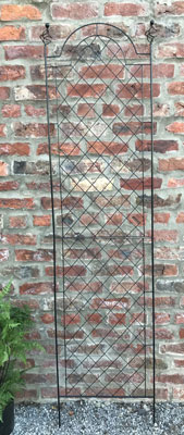 SPIRAL TRELLIS - 2m