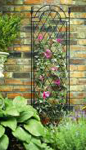 SPIRAL TRELLIS