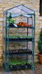 Four Tier Growhouse Greenhouse