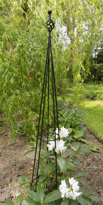 Tear Drop Plant Obelisk