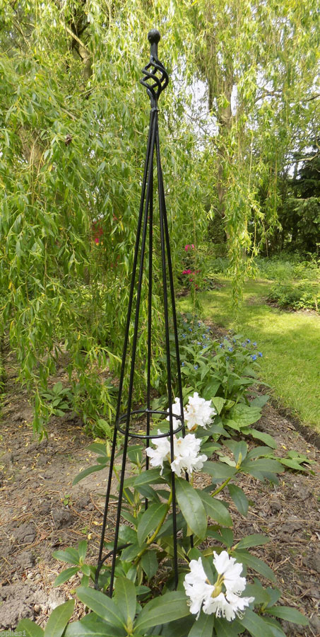 Tear Drop Plant Obelisk