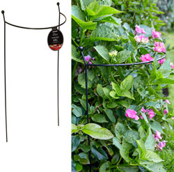 60cm Garden Border Plant Support