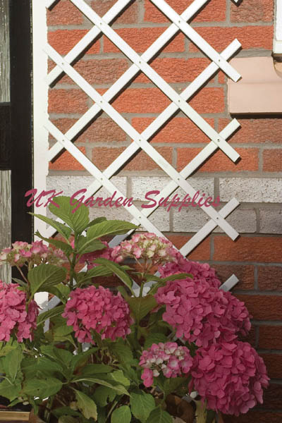 2.0m x 1.0m Expandable White Plastic Trellis