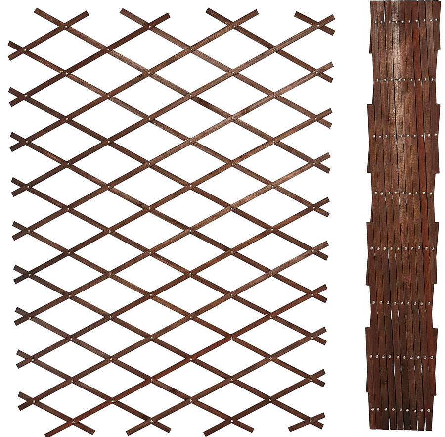 Expandable Trellis (1.2m)