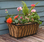 Norman Trough Planter