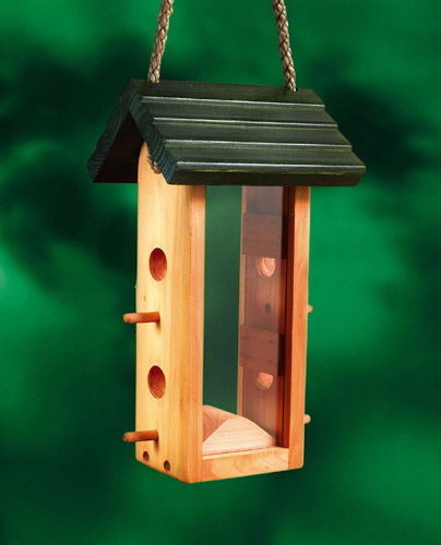 Scrummy Seed Bird Feeder