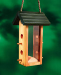 Scrummy Seed Bird Feeder