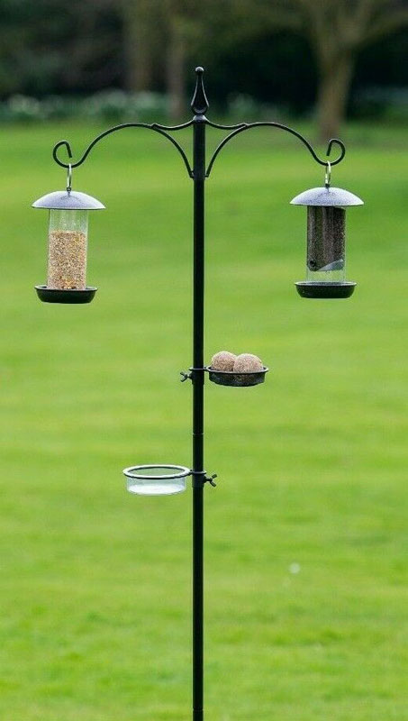 Daily Bird Feeding Station