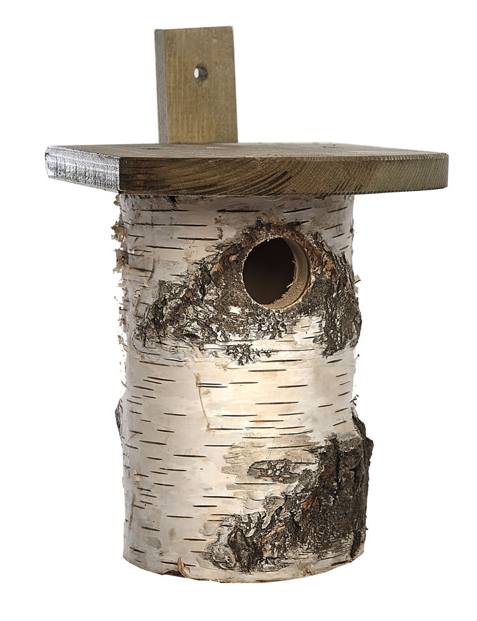 Birch Log Nesting Box