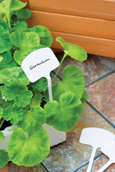 'T' Plant Labels