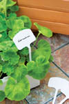 'T' Plant Labels