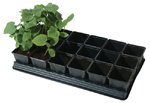 18 Pot Vegetable Growing Tray