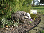 Badger Animal Garden Ornament 