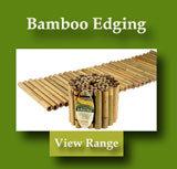 Bamboo Edging