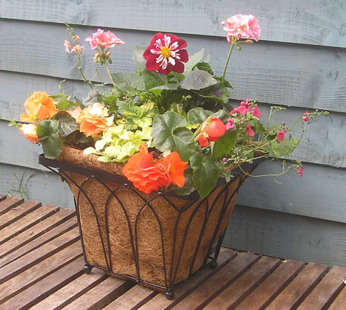 Norman Basket Planter