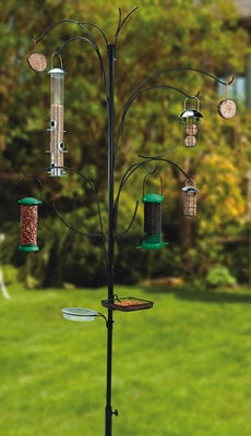 Crooked Tree Bird Feeding Station