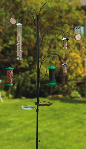 Crooked Tree Bird Feeding Station