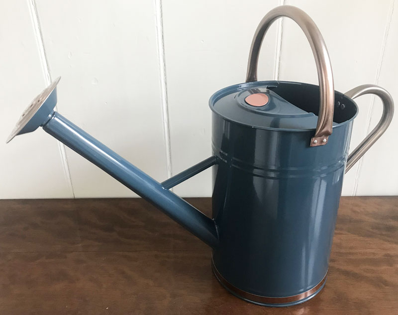 9ltr Blue Watering Can