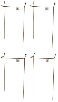 Rusty Metal Bow Peonies Supports Set of 4