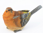 Chaffinch Bird Sitting