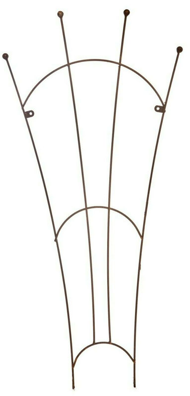 Natural Metal Rust Garden Fan Trellis