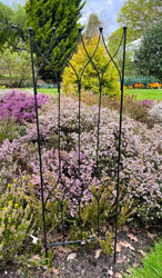 1.2m Magnollia Trellis