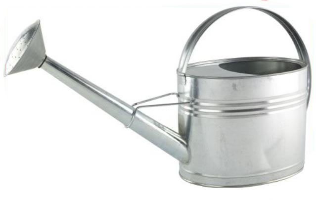 2.2 Gallon 10L Galvanised Watering Can - Long Reach