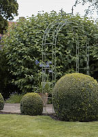 Garden Arches and Arbours