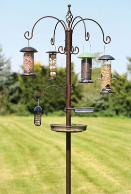 Grand Bird Feeding Station 