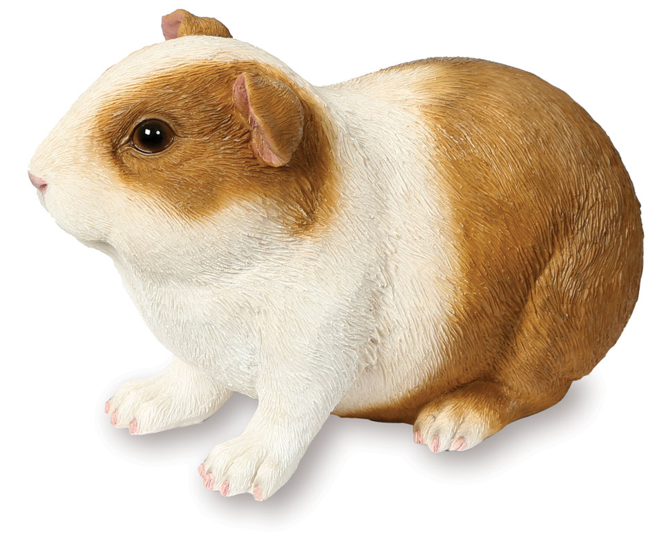 Short Haired Guinea Pig Ornament Figurine