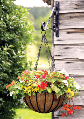 Hanging basket - Hand Forged 35cm