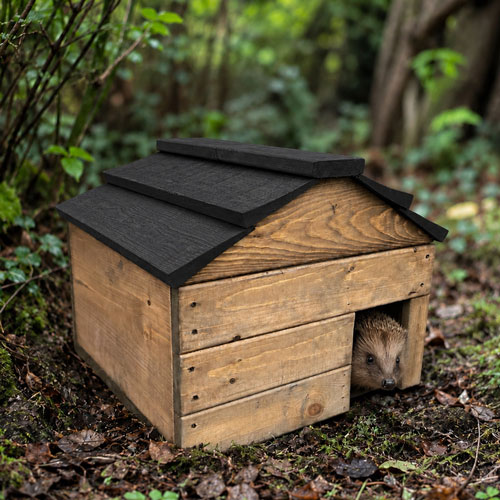 Handcrafted Heavy-Duty Wooden Hedgehog House with Floor