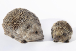Mother and Baby Hedgehog Garden Ornaments