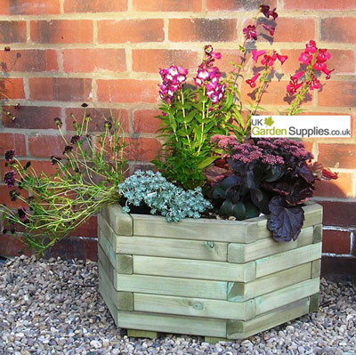 Medium Hexagon Planter