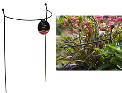 80cm Garden Border Plant Support.