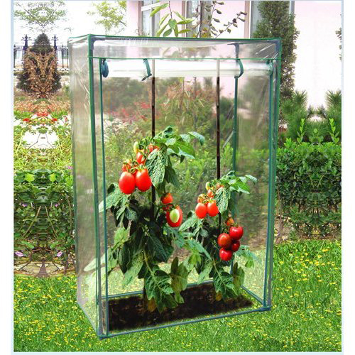 Growbag Mini Greenhouse 