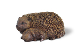 Hedgehog Mother & Baby Together Garden Ornament