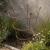 Heavy Duty 54cm Natural Rusty Peony Support - 5 Leg. - view 2