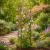 Arched Lattice Garden Folding Trellis 110cm wide - view 3