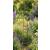160cm Berkeley Garden Obelisk Rust Effect - view 1