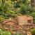 Hedgehog Box House Shelter Tan - view 2