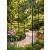 Garden Arch Arbour Rose Plant Trellis  - view 2