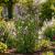 Arched Lattice Garden Folding Trellis 140cm wide - view 3