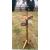 Wooden Feeding Garden Bird Table Station Feeders - view 3
