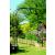 Extra Wide Metal Garden Arch - view 1