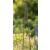 160cm Berkeley Garden Obelisk Rust Effect - view 2