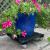 Heavy Duty Plant Pot Caddy on Wheels Charcoal Black Large - view 3